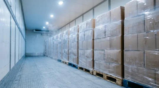 Temperature-controlled frozen food transportation showing thermal monitoring in refrigerated logistics