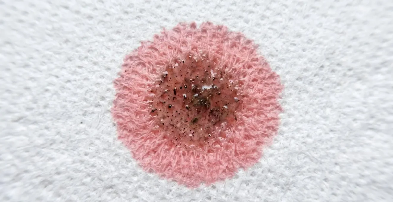 Professional diagnostic technique showing transmission fluid condition analysis through paper absorption test
